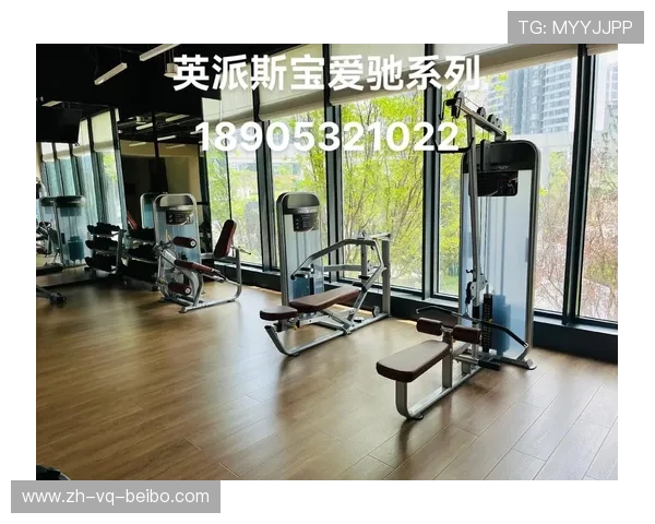 英派斯健身器材厂家：英派斯健身器材品牌介绍与厂家资源