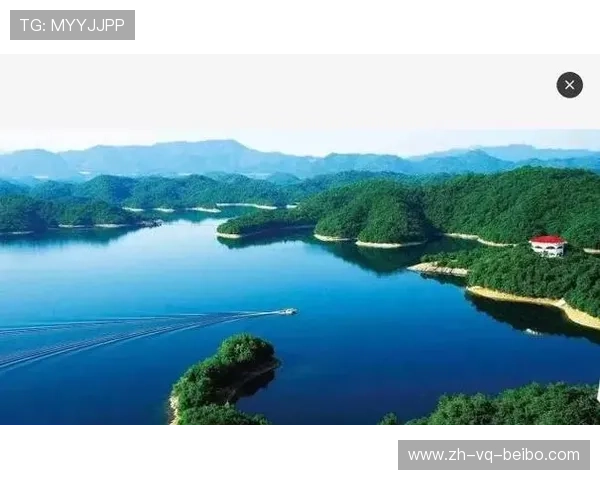 江西庐山首届全国风筝精英赛组委会工作机构人员选派通知发布